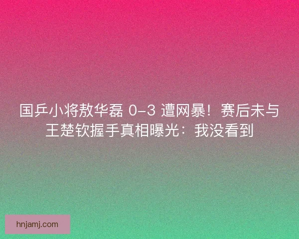 国乒小将敖华磊 0-3 遭网暴！赛后未与王楚钦握手真相曝光：我没看到